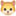 🐱
